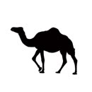 嘢骆驼yeluotuo